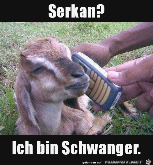 Ich bin schwanger