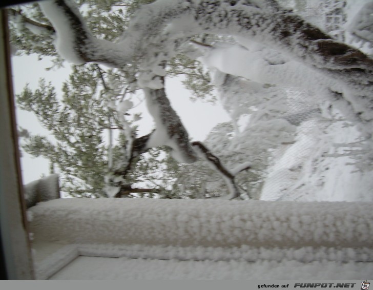 schnee in spanien delta del ebro 2006