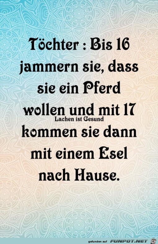 Toechter Toechter