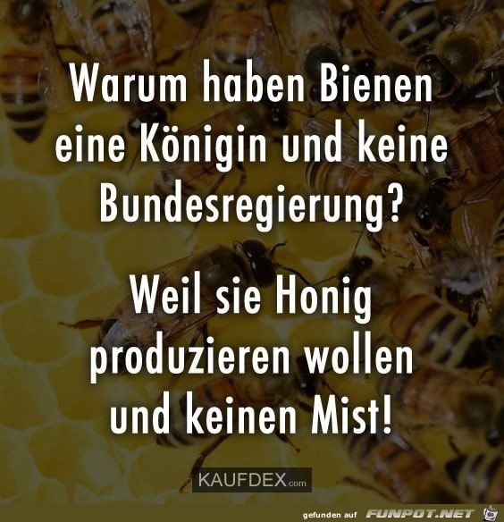 warum haben bienen