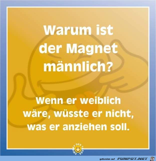warum ist der Magnet maennlich warum ist der Magnet maennlich