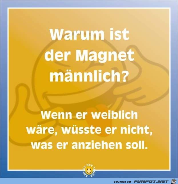 warum ist der Magnet maennlich