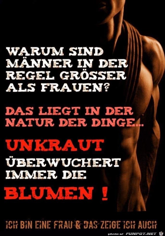 warum sind maenner in der regel warum sind maenner in der regel
