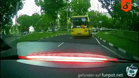 Bus macht Vollbremsung