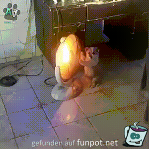 Ich friere Ich friere