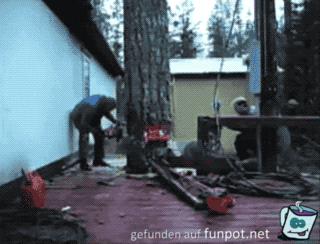 Zielgenau Zielgenau