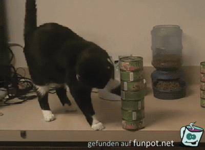 Runter damit Runter damit