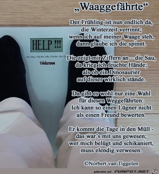 Waaggefhrte 2019