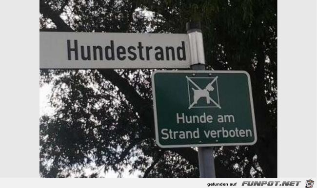 Hundestrand Hundestrand
