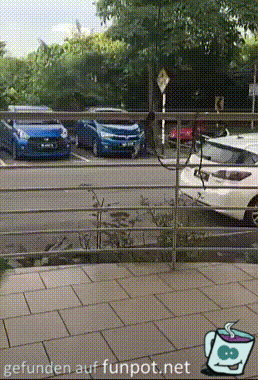 Affe klaut Nummernschild Affe klaut Nummernschild