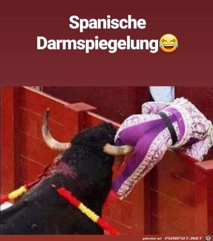 spanische darmspiegelung