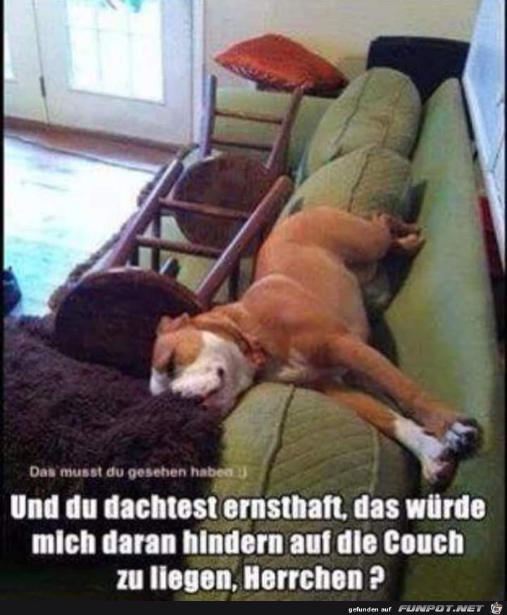 und du dachtest