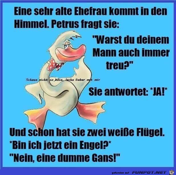 eine sehzr alte ehefrau eine sehzr alte ehefrau