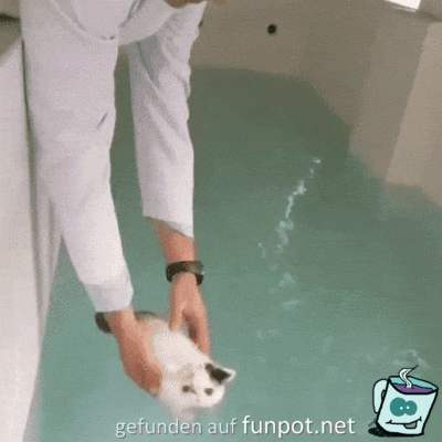 Schwimm-Training Schwimm-Training