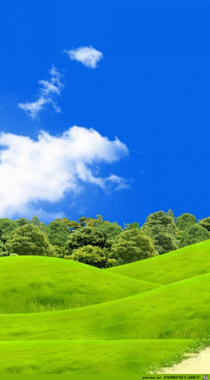 Tolles Naturbild Tolles Naturbild