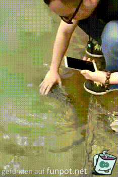 Fisch will immer zurück Fisch will immer zurück