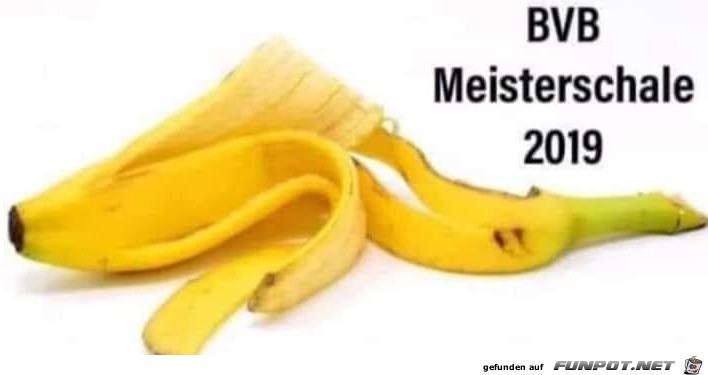 Meisterschale Meisterschale