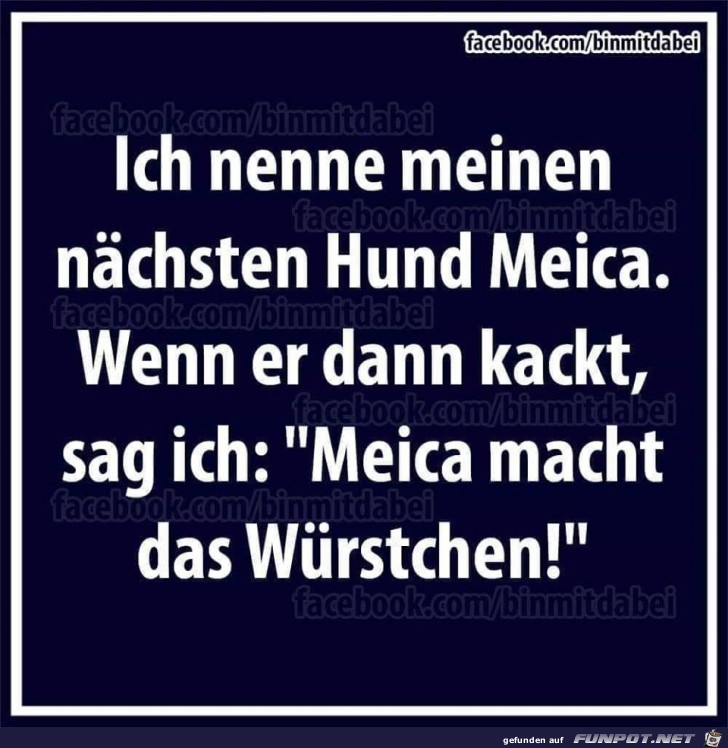 Mein nächster Hund Mein nächster Hund