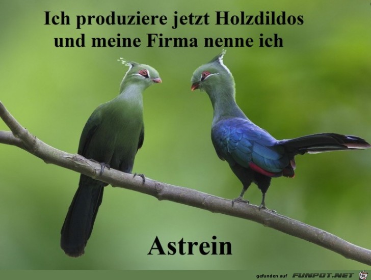 Lustige Idee