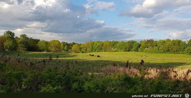 Landschaft bei Berlin