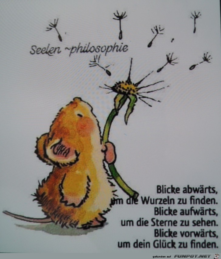 Blicke abwaerts Blicke abwaerts