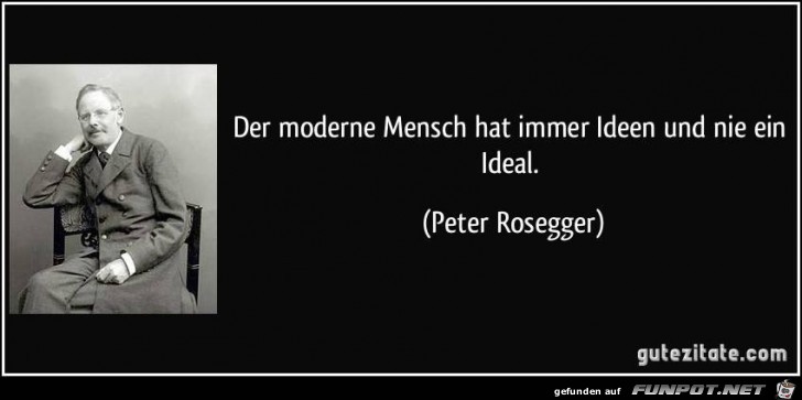 der moderne mensch der moderne mensch