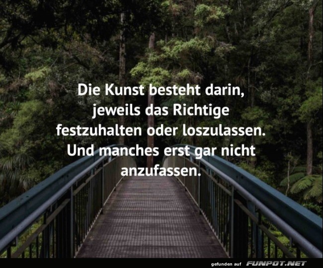 10 sch�ne Spr�che und Lebensweisheiten aus...