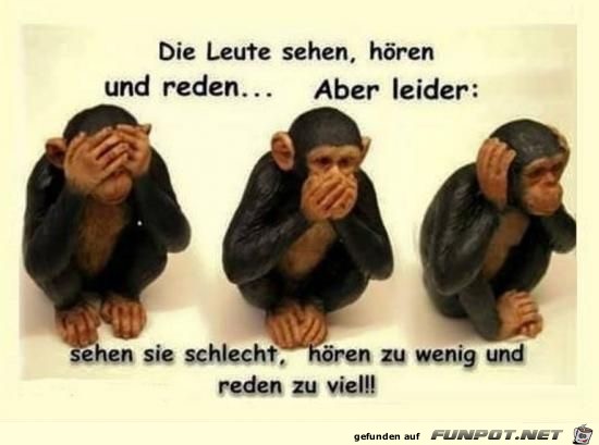 die Leute sehen hoeren und reden... die Leute sehen hoeren und reden...