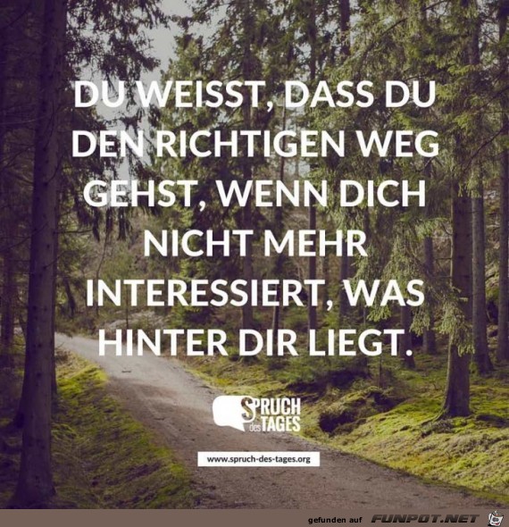 Du weisst dass du den richtigen weg Du weisst dass du den richtigen weg