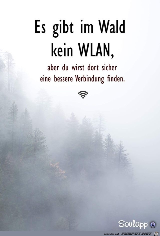 es gibt im Wald es gibt im Wald