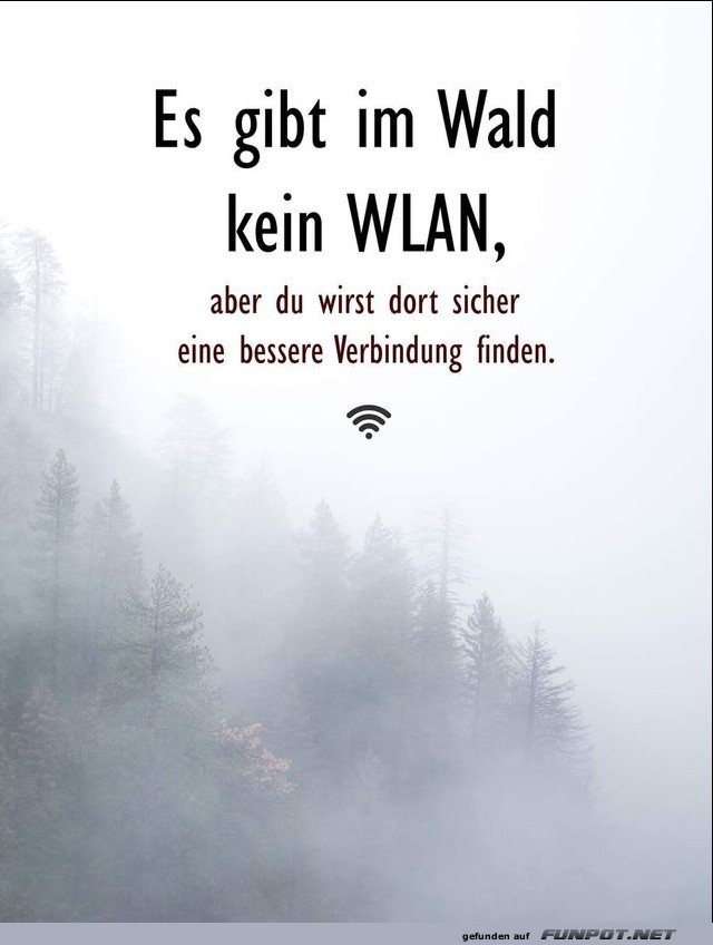 10 sch�ne Spr�che und Lebensweisheiten aus...