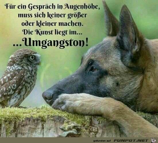 Für ein Gespräch in Augenhöhe Für ein Gespräch in Augenhöhe