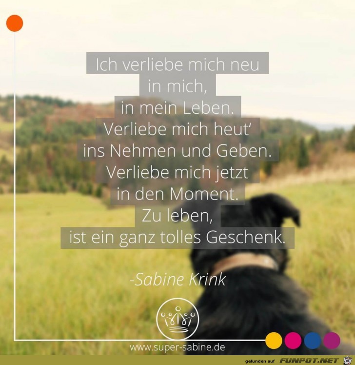 ich verliebe mich neu ich verliebe mich neu