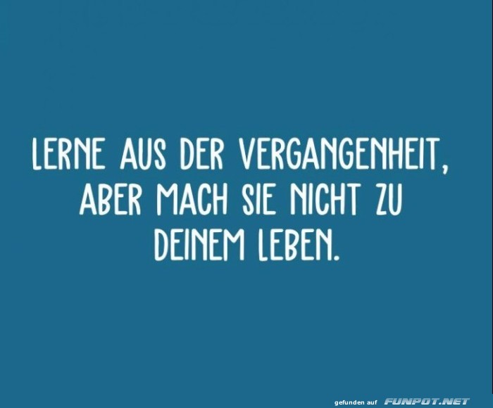 10 sch�ne Spr�che und Lebensweisheiten aus...