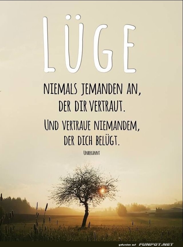 10 sch�ne Spr�che und Lebensweisheiten aus...