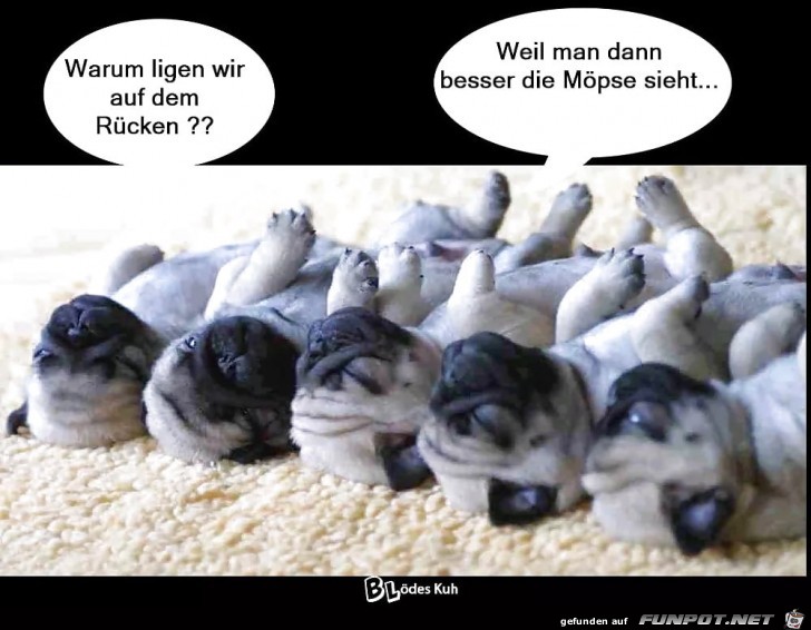 Rückenlage Rückenlage