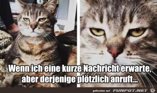 Das geht ja gar nicht Das geht ja gar nicht