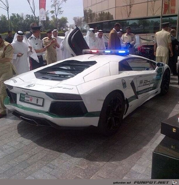 Manche Sachen gibt's nur in Dubai :-)