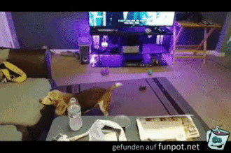 Zu wenig Anlauf Zu wenig Anlauf