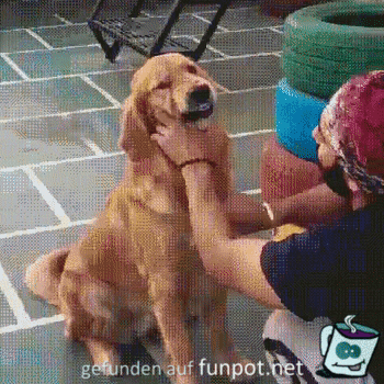 Bisschen fletschen muss sein Bisschen fletschen muss sein