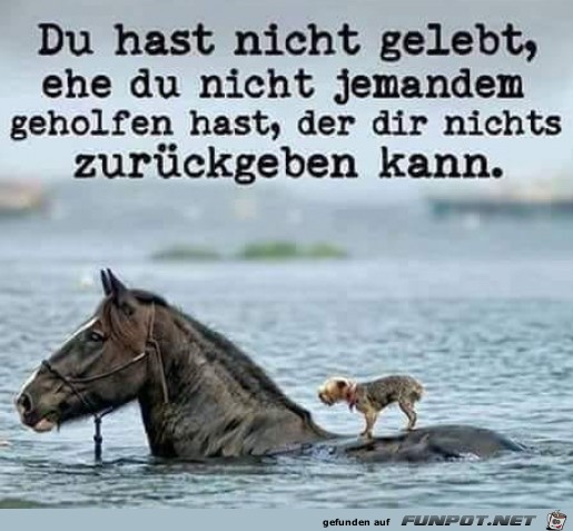 Helfen