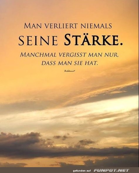 10 sch�ne Spr�che und Lebensweisheiten aus...