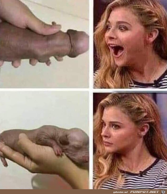 Zweimal hingucken Zweimal hingucken