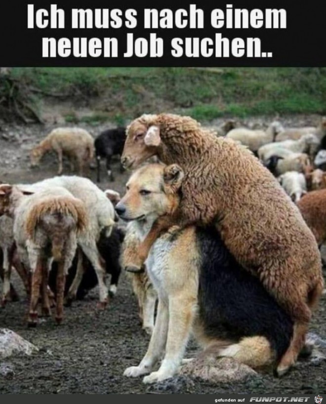 Neuer Job nötig Neuer Job nötig