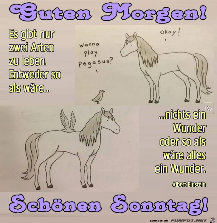 Sonntag Sonntag