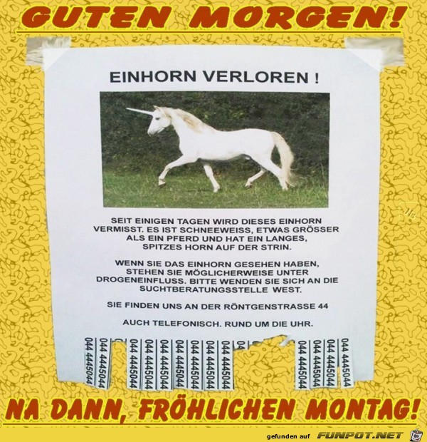 Montag Montag