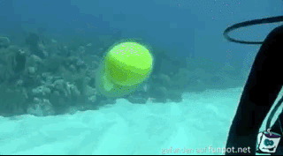 Tennisball in Luftblase unter Wasser