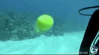 Tennisball in Luftblase unter Wasser Tennisball in Luftblase unter Wasser