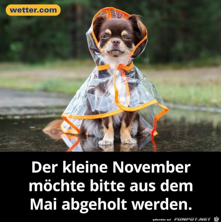 November oder Mai November oder Mai