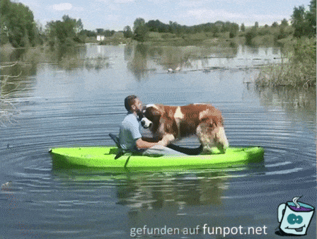 Gleichgewichtsstörung Gleichgewichtsstörung